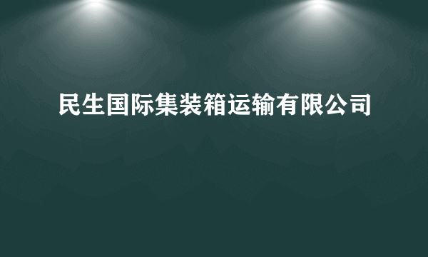 民生国际集装箱运输有限公司