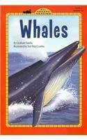 Whales（Faiella, Graham; Maccombie, Turi;著图书）