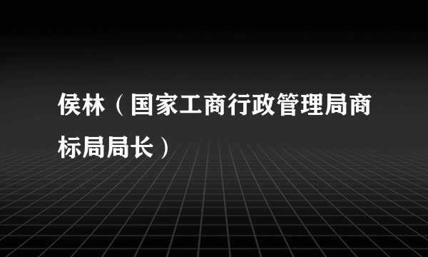 侯林（国家工商行政管理局商标局局长）