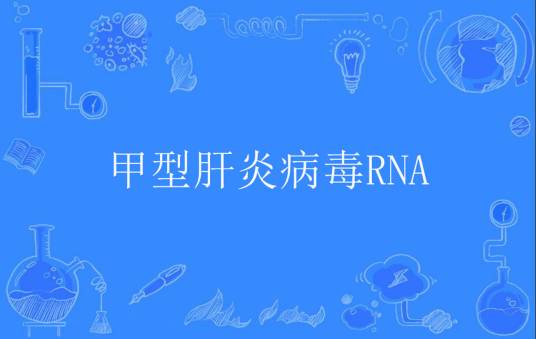 甲型肝炎病毒RNA