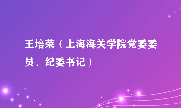 王培荣（上海海关学院党委委员、纪委书记）