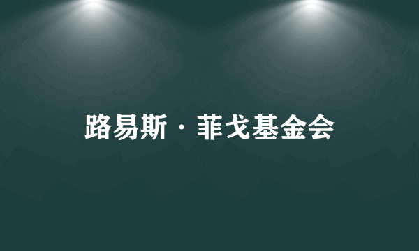 路易斯·菲戈基金会