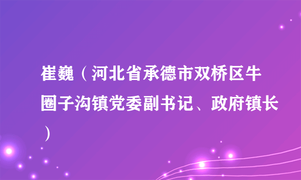 崔巍（河北省承德市双桥区牛圈子沟镇党委副书记、政府镇长）