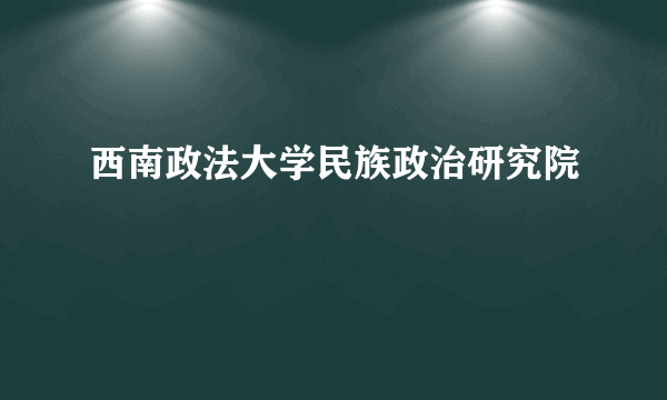 西南政法大学民族政治研究院