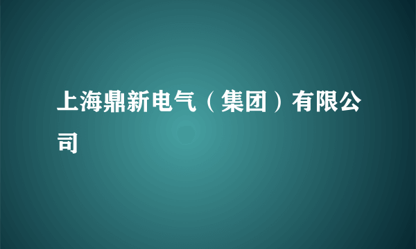 上海鼎新电气（集团）有限公司