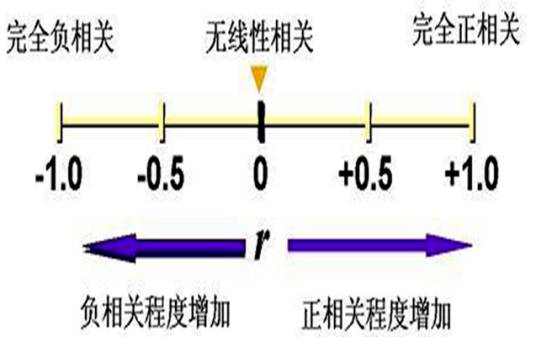 偏相关分析