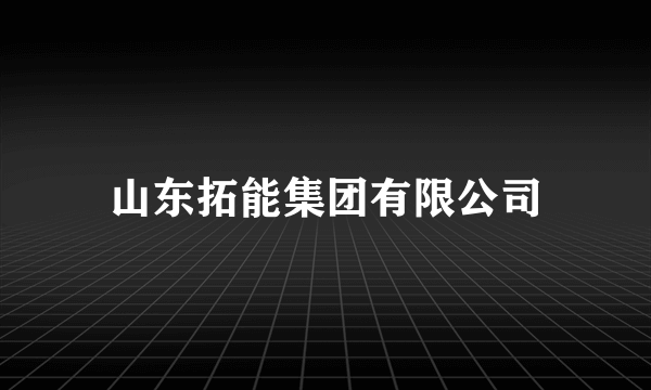 山东拓能集团有限公司