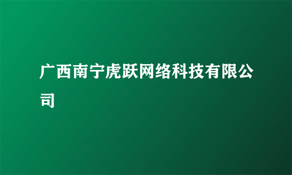 广西南宁虎跃网络科技有限公司