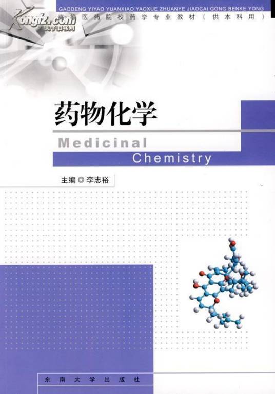 药物化学（2009年化学工业出版社​出版的图书）