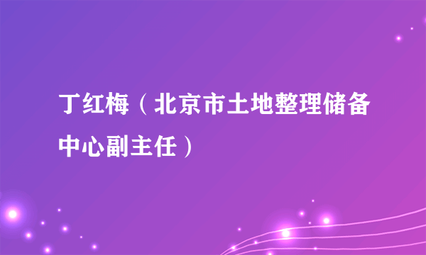 丁红梅（北京市土地整理储备中心副主任）