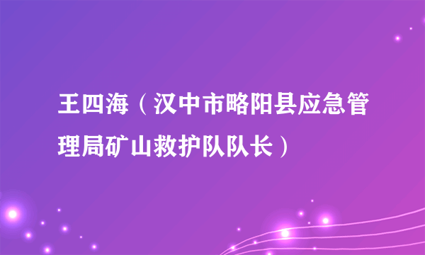 王四海（汉中市略阳县应急管理局矿山救护队队长）