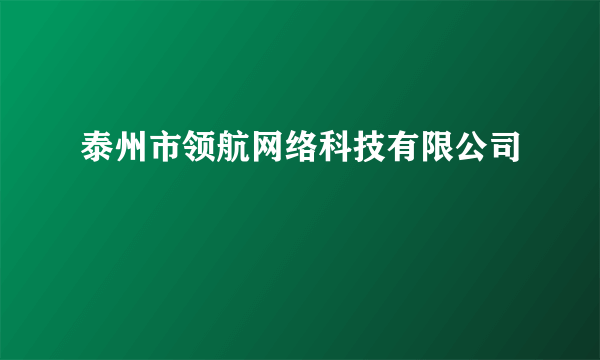 泰州市领航网络科技有限公司