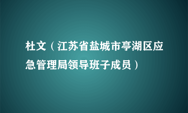 杜文（江苏省盐城市亭湖区应急管理局领导班子成员）