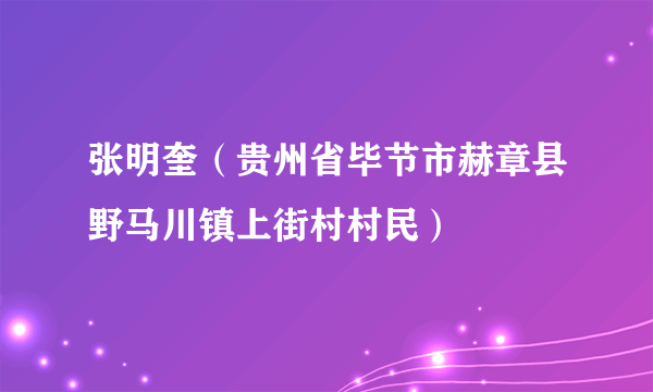 张明奎（贵州省毕节市赫章县野马川镇上街村村民）