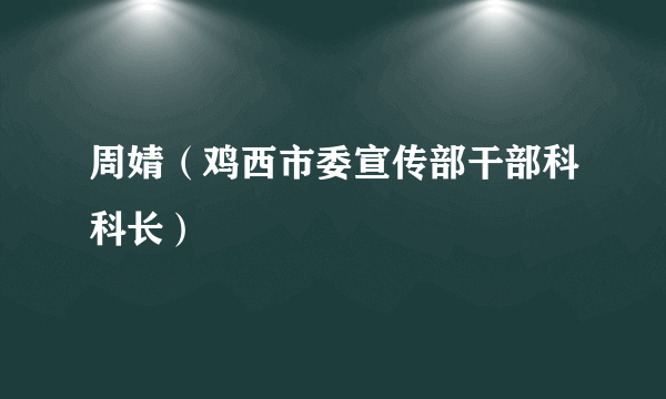 周婧（鸡西市委宣传部干部科科长）