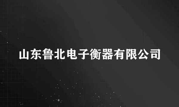 山东鲁北电子衡器有限公司