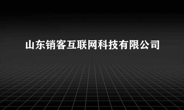 山东销客互联网科技有限公司