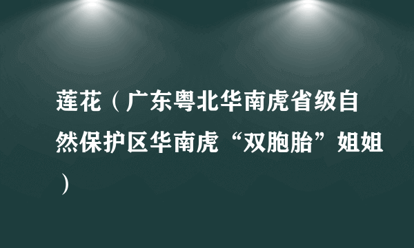 莲花（广东粤北华南虎省级自然保护区华南虎“双胞胎”姐姐）