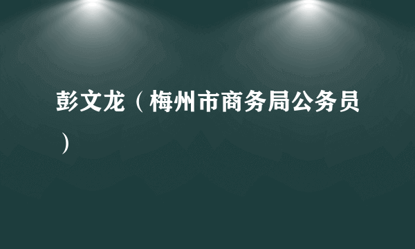 彭文龙（梅州市商务局公务员）