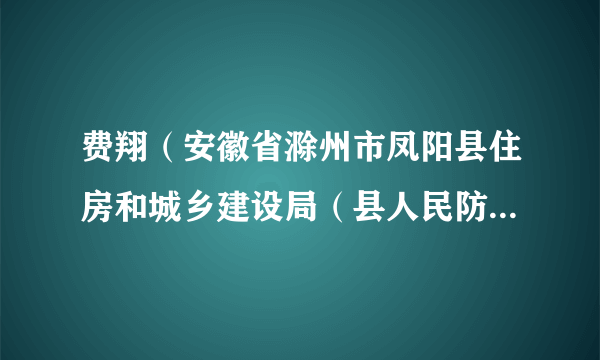 费翔（安徽省滁州市凤阳县住房和城乡建设局（县人民防空办公室）副局长（副主任））