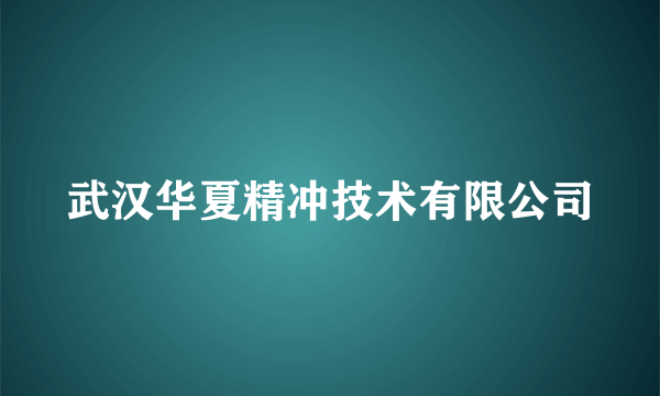 武汉华夏精冲技术有限公司