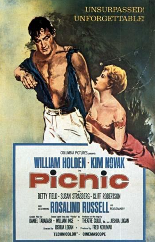 Picnic（乔舒亚·洛根执导电影）