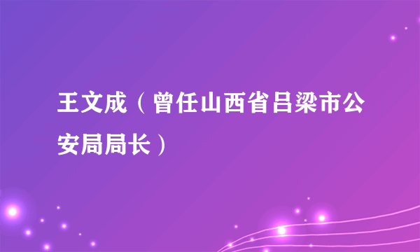 王文成（曾任山西省吕梁市公安局局长）