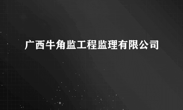 广西牛角监工程监理有限公司