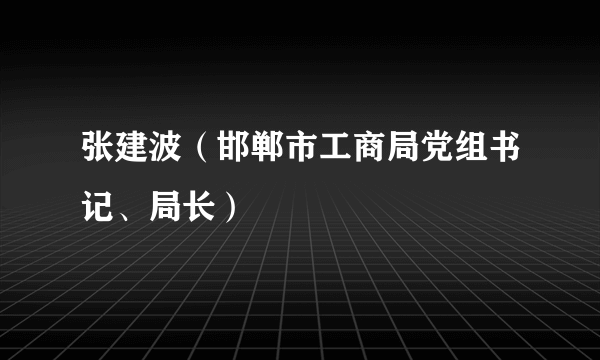 张建波（邯郸市工商局党组书记、局长）