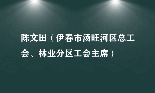 陈文田（伊春市汤旺河区总工会、林业分区工会主席）