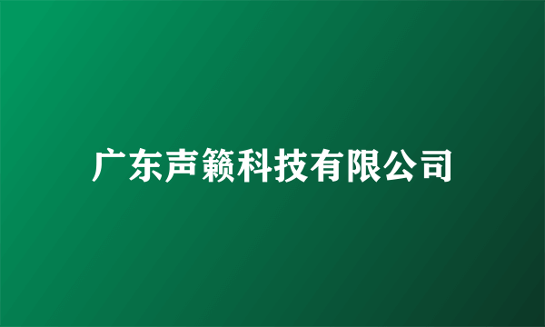 广东声籁科技有限公司