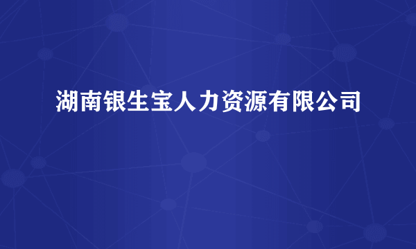 湖南银生宝人力资源有限公司