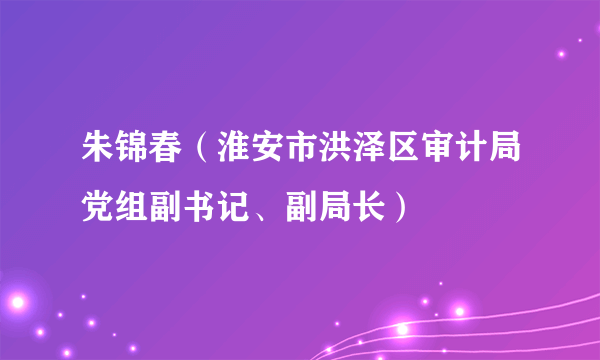 朱锦春（淮安市洪泽区审计局党组副书记、副局长）