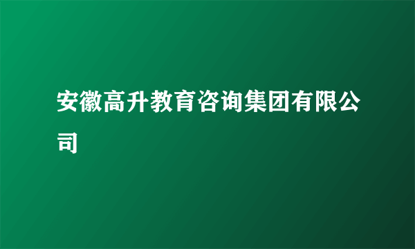 安徽高升教育咨询集团有限公司