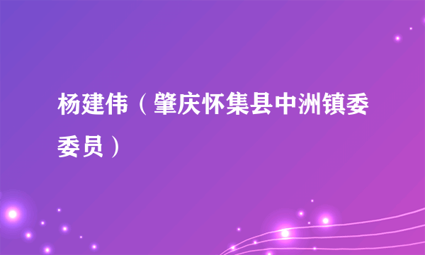 杨建伟（肇庆怀集县中洲镇委委员）