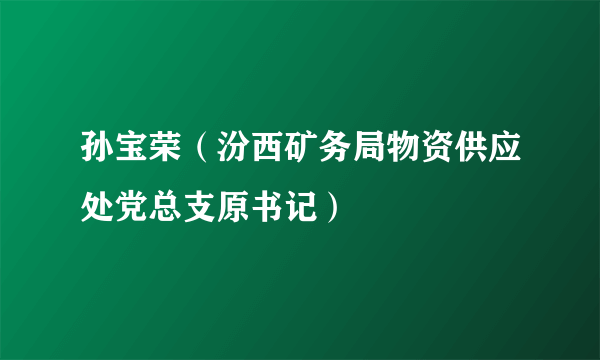 孙宝荣（汾西矿务局物资供应处党总支原书记）