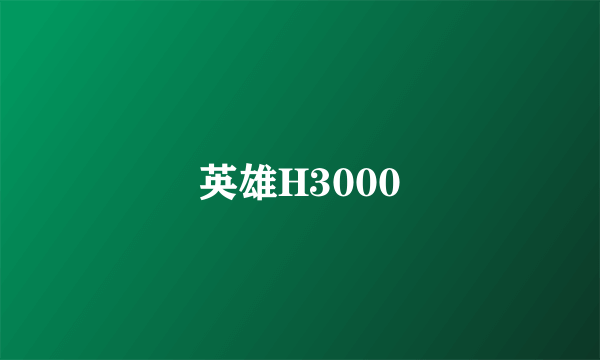 英雄H3000