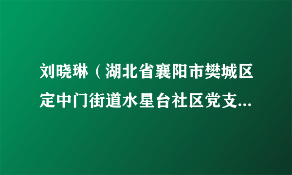 刘晓琳（湖北省襄阳市樊城区定中门街道水星台社区党支部书记）