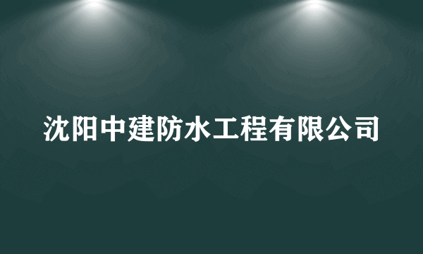 沈阳中建防水工程有限公司