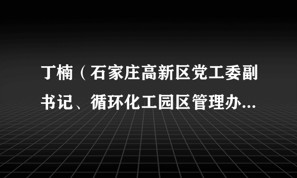 丁楠（石家庄高新区党工委副书记、循环化工园区管理办公室主任）