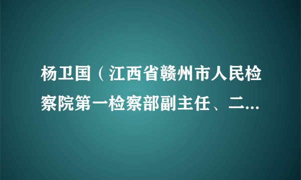 杨卫国（江西省赣州市人民检察院第一检察部副主任、二级检察官）