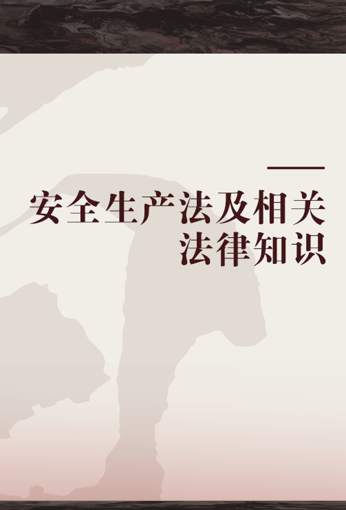 安全生产法及相关法律知识（2010年中国建筑工业出版社出版的图书）