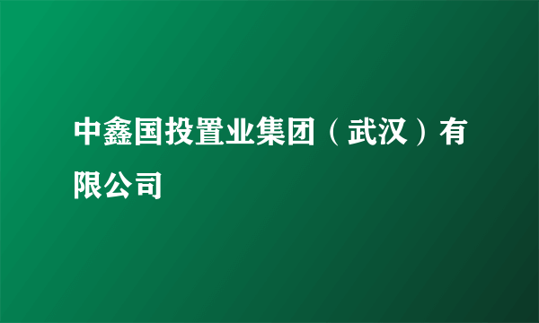 中鑫国投置业集团（武汉）有限公司