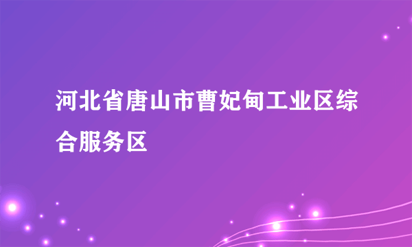 河北省唐山市曹妃甸工业区综合服务区