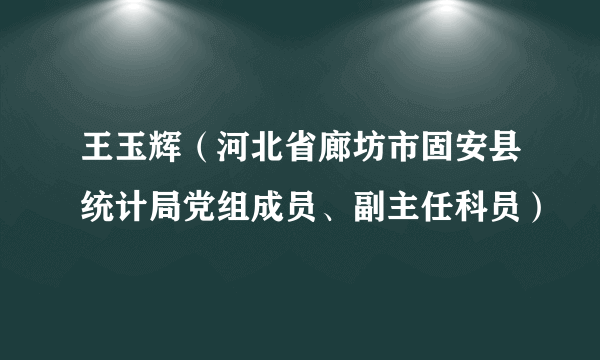 王玉辉（河北省廊坊市固安县统计局党组成员、副主任科员）