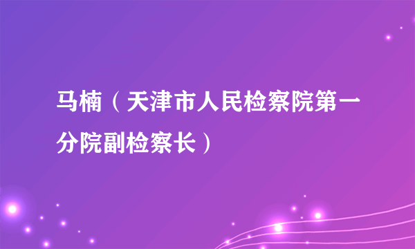 马楠（天津市人民检察院第一分院副检察长）