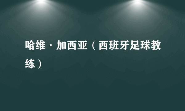 哈维·加西亚（西班牙足球教练）