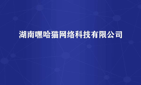 湖南嘿哈猫网络科技有限公司