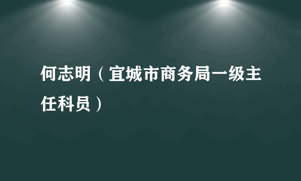 何志明（宜城市商务局一级主任科员）