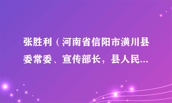 张胜利（河南省信阳市潢川县委常委、宣传部长，县人民政府党组成员、副县长）